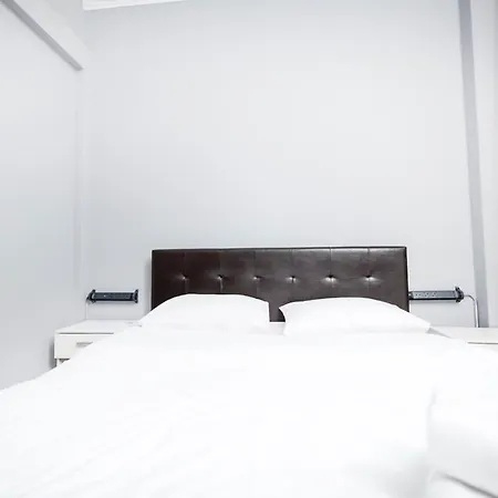 公寓 Egnatia Spacious 3 Bd In 塞萨洛尼基